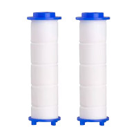 Картриджі для душового фільтра AQUAGUARD SHF-DS (2 шт.)